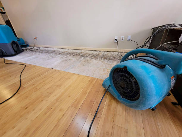 Professional Structural Drying technician working in Sullivan, ME